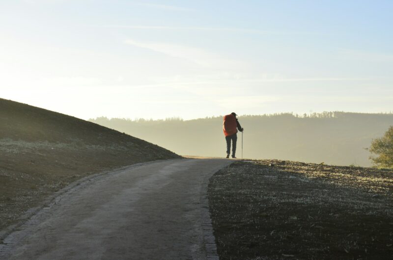 Zhazz_camino de santiago
